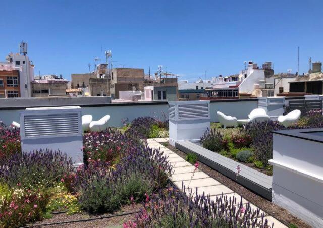 Zen Garden Διαμέρισμα Λας Πάλμας ντε Γκραν Κανάρια Εξωτερικό φωτογραφία
